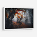 Colores de otoño - Fabrizio Massetti | Cuadro decorativo de Canvas Lab