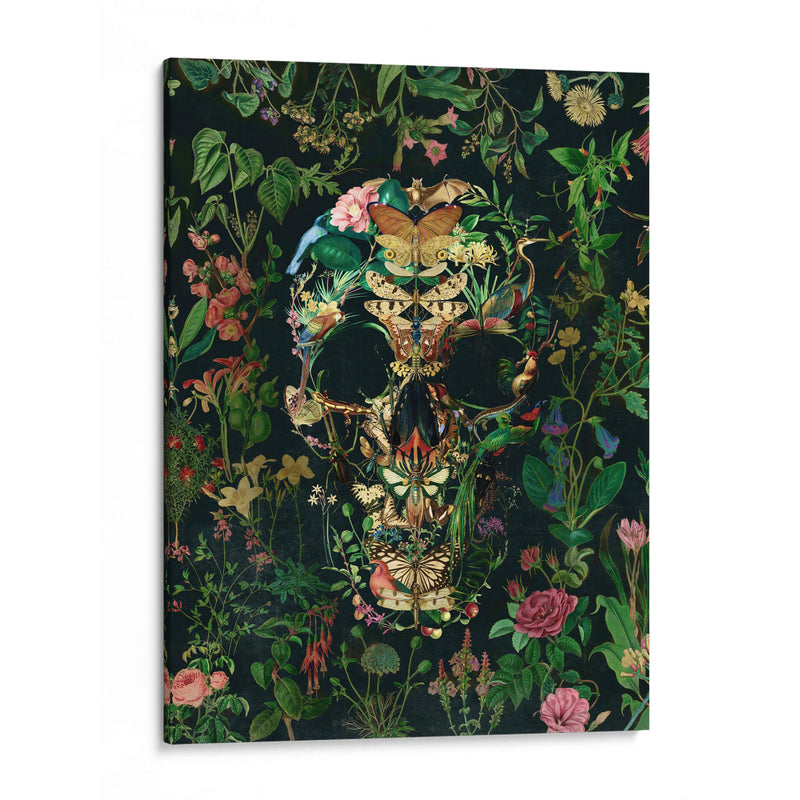Cráneo de Papillon, vertical 4 - Ali Gulec | Cuadro decorativo de Canvas Lab