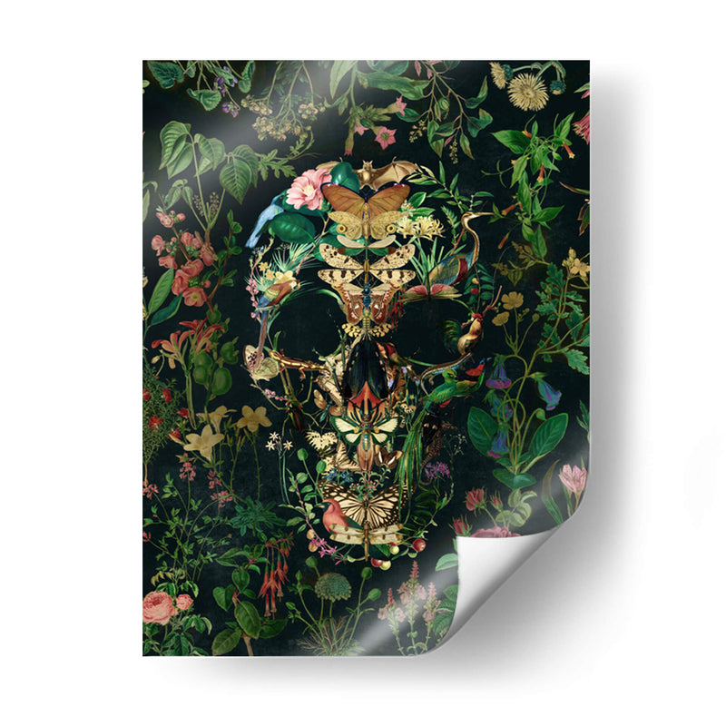 Cráneo de Papillon, vertical 4 - Ali Gulec | Cuadro decorativo de Canvas Lab