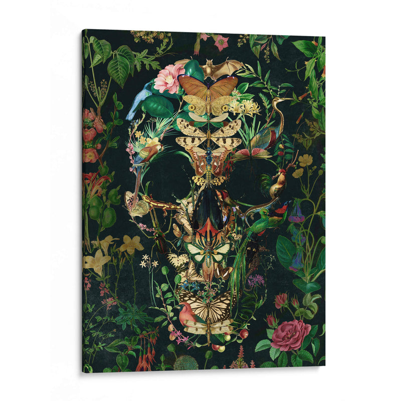 Cráneo de Papillon, vertical 3 - Ali Gulec | Cuadro decorativo de Canvas Lab
