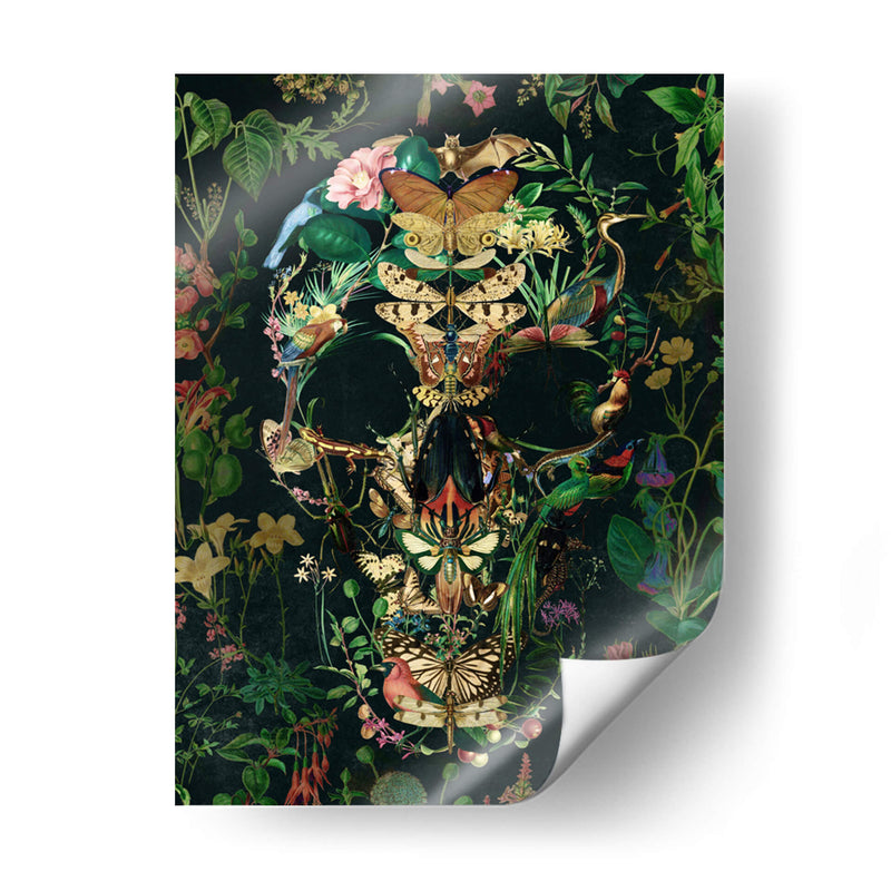Cráneo de Papillon, vertical 3 - Ali Gulec | Cuadro decorativo de Canvas Lab