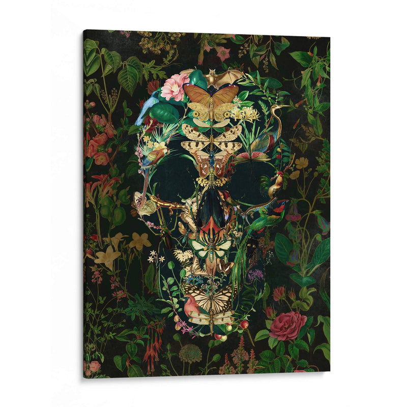 Cráneo de Papillon, vertical 2 - Ali Gulec | Cuadro decorativo de Canvas Lab