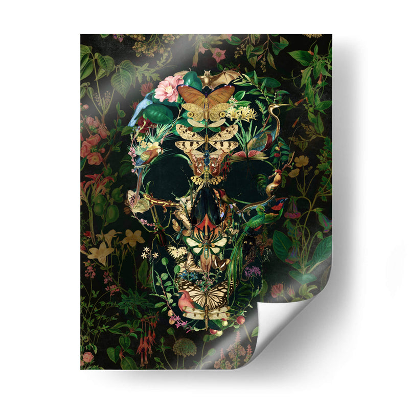 Cráneo de Papillon, vertical 2 - Ali Gulec | Cuadro decorativo de Canvas Lab