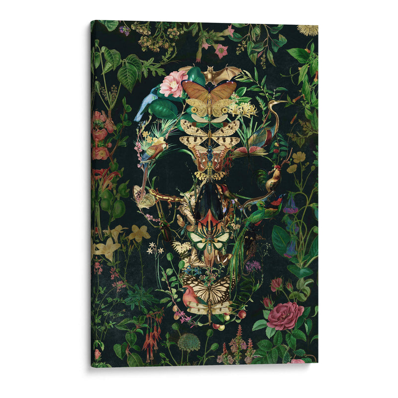 Cráneo de Papillon, vertical - Ali Gulec | Cuadro decorativo de Canvas Lab