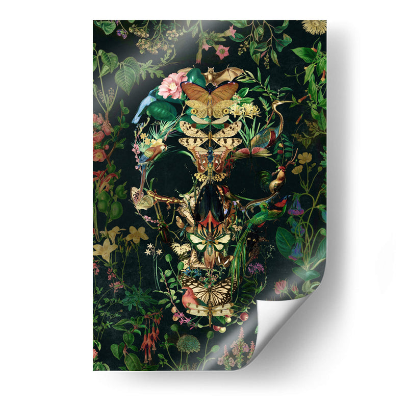 Cráneo de Papillon, vertical - Ali Gulec | Cuadro decorativo de Canvas Lab