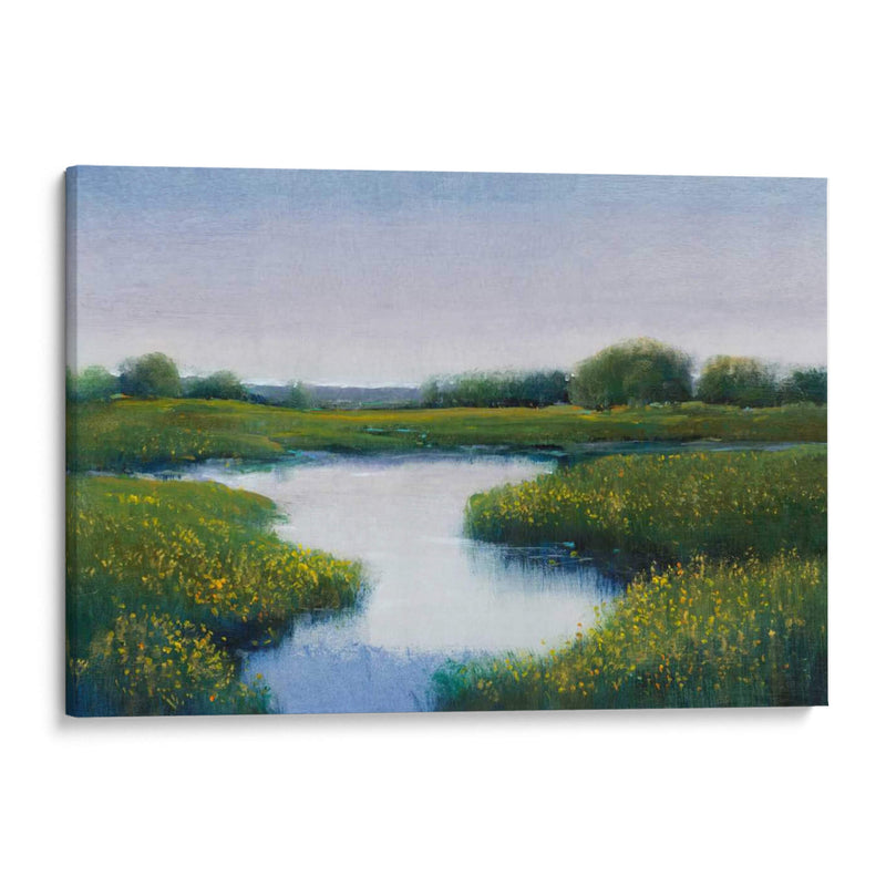 Marshlands Ii - Tim OToole | Cuadro decorativo de Canvas Lab