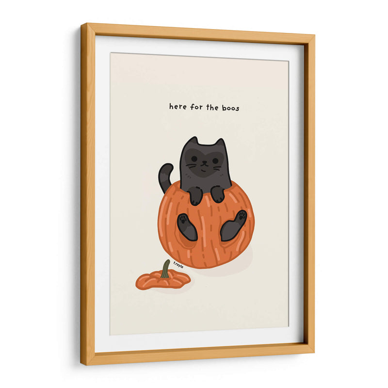 Gato negro sentado juguetonamente en una calabaza - Tara Royle | Cuadro decorativo de Canvas Lab