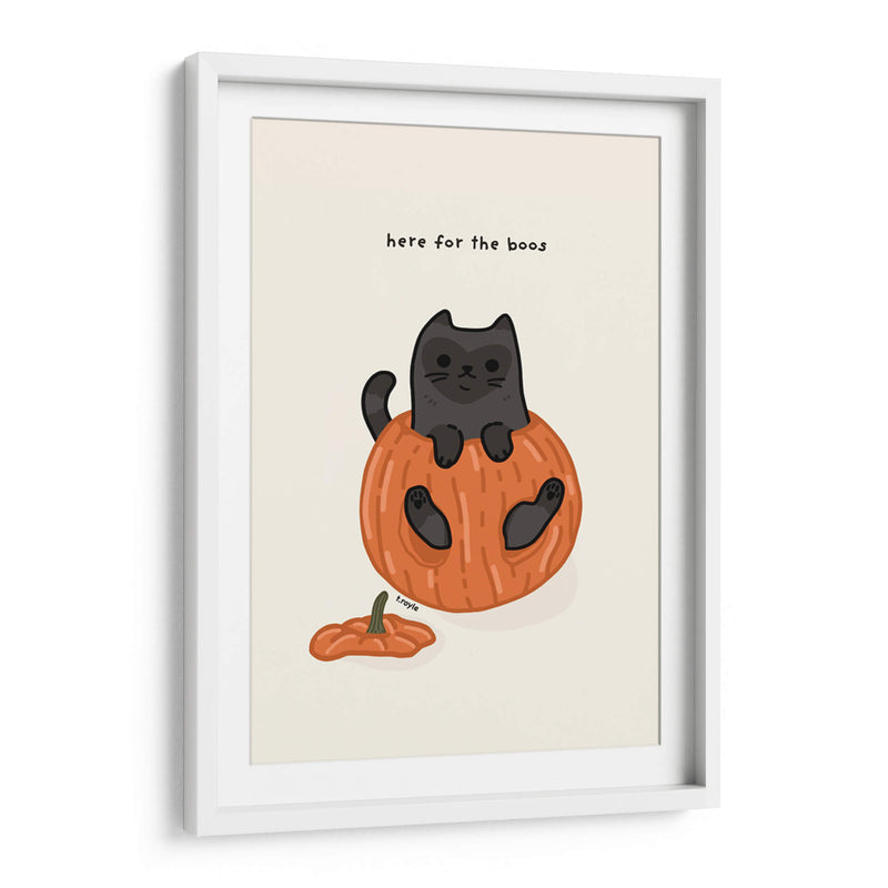 Gato negro sentado juguetonamente en una calabaza - Tara Royle | Cuadro decorativo de Canvas Lab