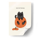 Gato negro sentado juguetonamente en una calabaza - Tara Royle | Cuadro decorativo de Canvas Lab