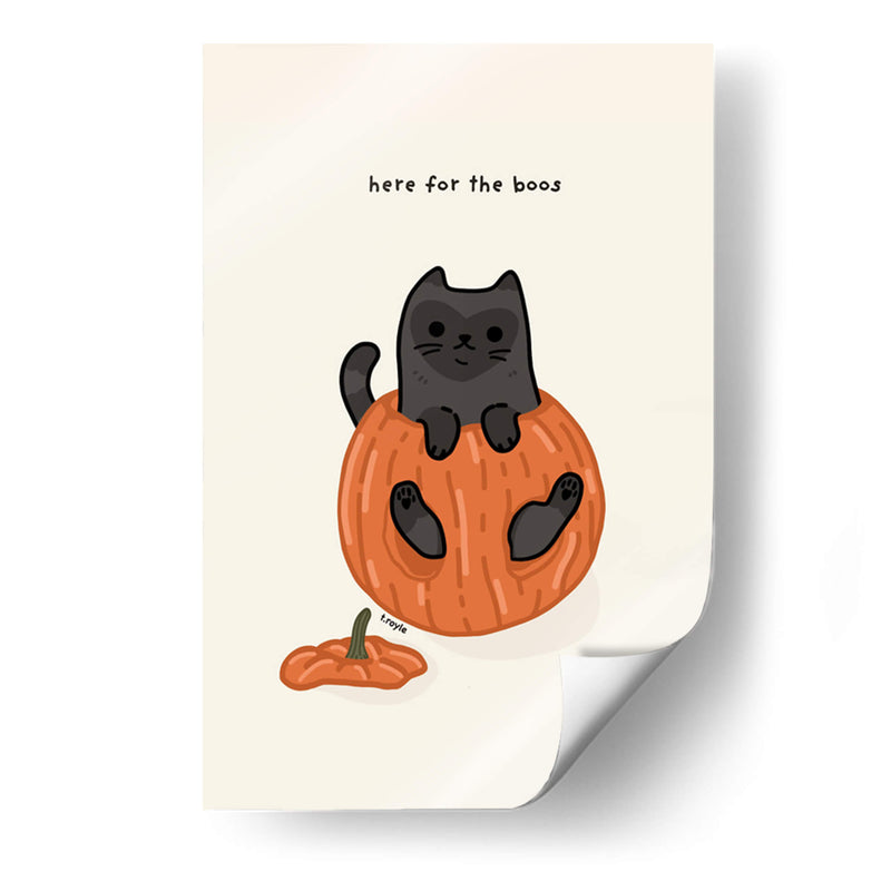 Gato negro sentado juguetonamente en una calabaza - Tara Royle | Cuadro decorativo de Canvas Lab