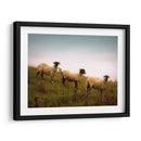 Amigos Lanudos I - Lillian Bell | Cuadro decorativo de Canvas Lab