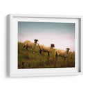 Amigos Lanudos I - Lillian Bell | Cuadro decorativo de Canvas Lab