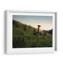Friends Wooly Ii - Lillian Bell | Cuadro decorativo de Canvas Lab
