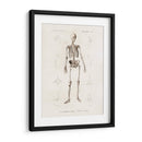 Esqueleto humano - Fluidys | Cuadro decorativo de Canvas Lab