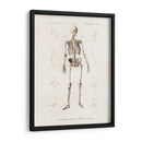 Esqueleto humano - Fluidys | Cuadro decorativo de Canvas Lab