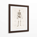Esqueleto humano - Fluidys | Cuadro decorativo de Canvas Lab