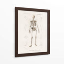 Esqueleto humano - Fluidys | Cuadro decorativo de Canvas Lab