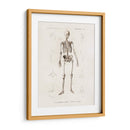 Esqueleto humano - Fluidys | Cuadro decorativo de Canvas Lab