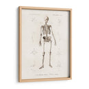 Esqueleto humano - Fluidys | Cuadro decorativo de Canvas Lab