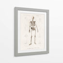 Esqueleto humano - Fluidys | Cuadro decorativo de Canvas Lab