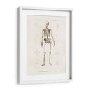 Esqueleto humano - Fluidys | Cuadro decorativo de Canvas Lab