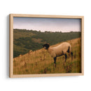 Friends Wooly Iii - Lillian Bell | Cuadro decorativo de Canvas Lab