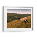 Friends Wooly Iii - Lillian Bell | Cuadro decorativo de Canvas Lab