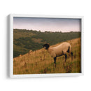 Friends Wooly Iii - Lillian Bell | Cuadro decorativo de Canvas Lab