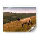 Friends Wooly Iii - Lillian Bell | Cuadro decorativo de Canvas Lab