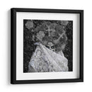 Día de los Muertos - C. Ray Roth | Cuadro decorativo de Canvas Lab