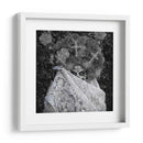 Día de los Muertos - C. Ray Roth | Cuadro decorativo de Canvas Lab