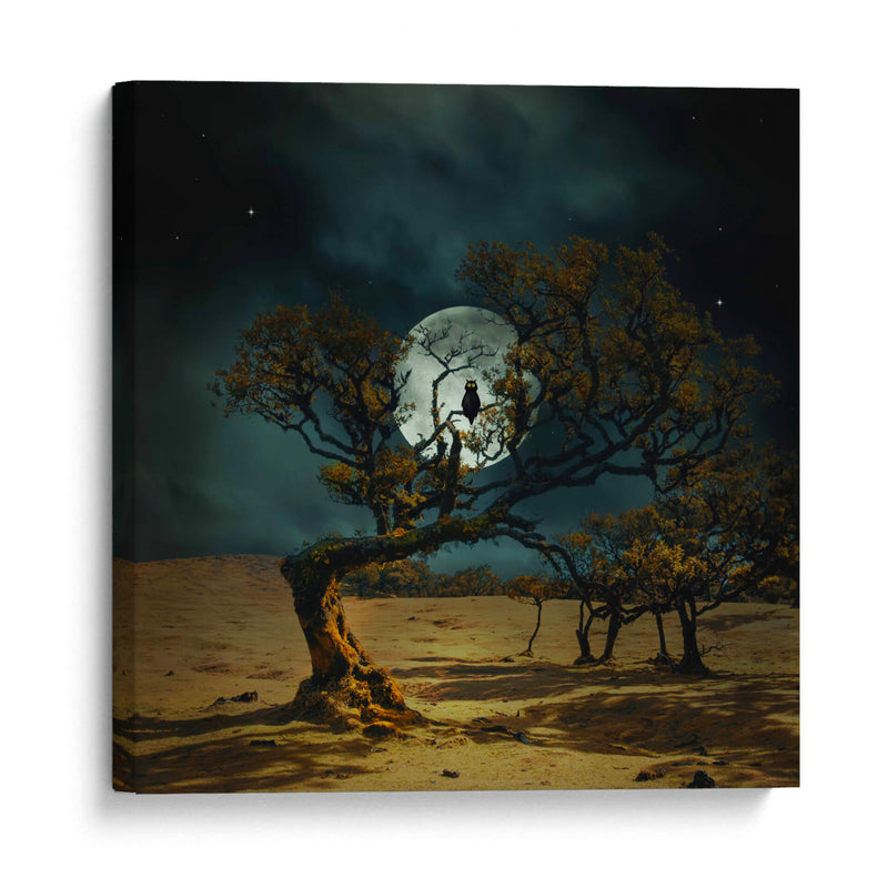 Siempre te estoy mirando - Nikki Georgieva V | Cuadro decorativo de Canvas Lab