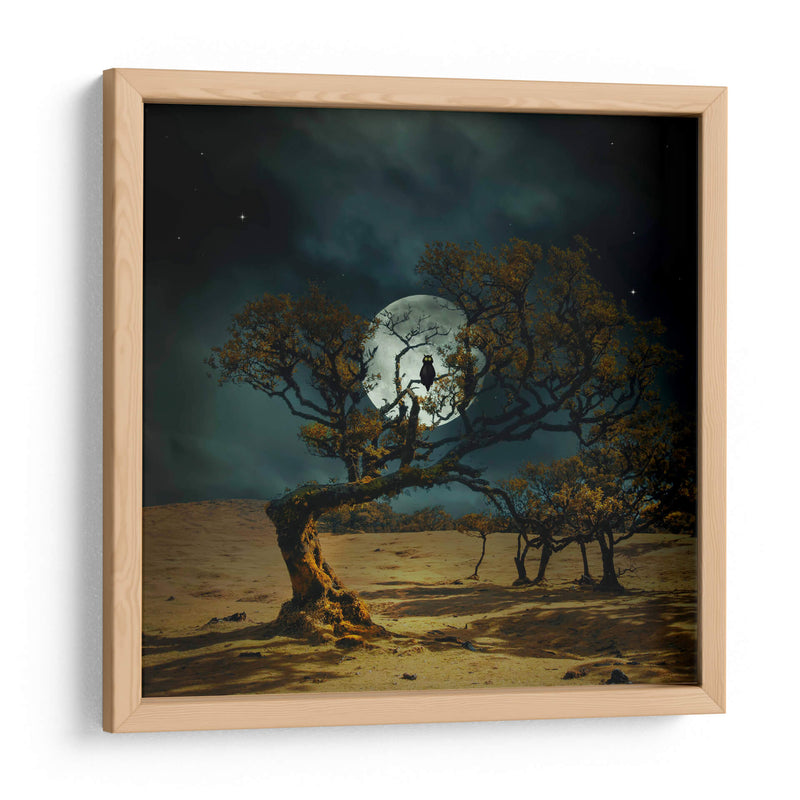 Siempre te estoy mirando - Nikki Georgieva V | Cuadro decorativo de Canvas Lab