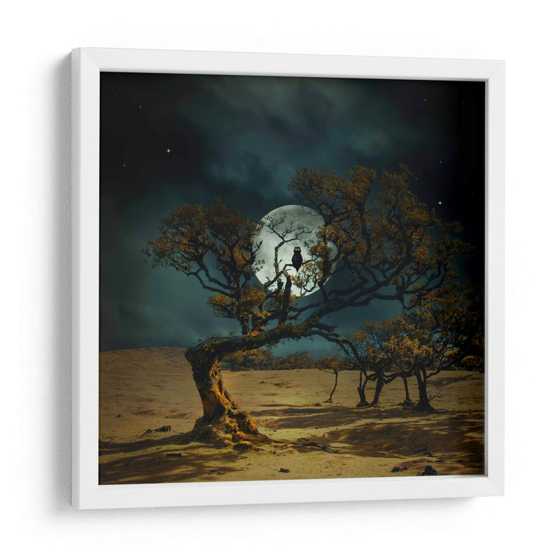 Siempre te estoy mirando - Nikki Georgieva V | Cuadro decorativo de Canvas Lab