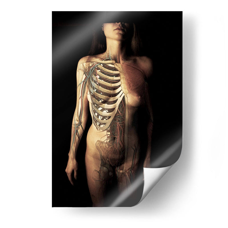 Intitulado - Bogdan Bouşcă | Cuadro decorativo de Canvas Lab