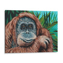 Mono De La Selva I - Carolee Vitaletti | Cuadro decorativo de Canvas Lab