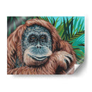 Mono De La Selva I - Carolee Vitaletti | Cuadro decorativo de Canvas Lab