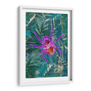 Araña de neón en la jungla - Sarah Manovski | Cuadro decorativo de Canvas Lab