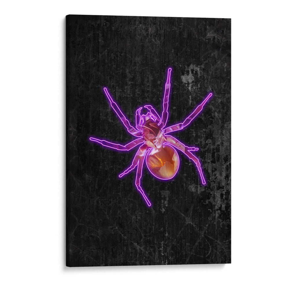 Araña de Halloween de neón - Sarah Manovski | Cuadro decorativo de Canvas Lab