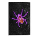 Araña de Halloween de neón - Sarah Manovski | Cuadro decorativo de Canvas Lab
