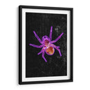 Araña de Halloween de neón - Sarah Manovski | Cuadro decorativo de Canvas Lab