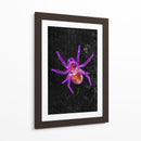 Araña de Halloween de neón - Sarah Manovski | Cuadro decorativo de Canvas Lab