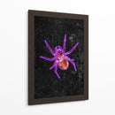 Araña de Halloween de neón - Sarah Manovski | Cuadro decorativo de Canvas Lab