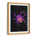 Araña de Halloween de neón - Sarah Manovski | Cuadro decorativo de Canvas Lab