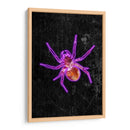 Araña de Halloween de neón - Sarah Manovski | Cuadro decorativo de Canvas Lab
