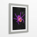 Araña de Halloween de neón - Sarah Manovski | Cuadro decorativo de Canvas Lab