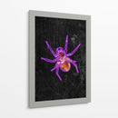 Araña de Halloween de neón - Sarah Manovski | Cuadro decorativo de Canvas Lab
