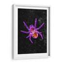 Araña de Halloween de neón - Sarah Manovski | Cuadro decorativo de Canvas Lab