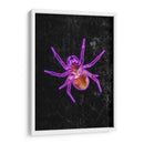 Araña de Halloween de neón - Sarah Manovski | Cuadro decorativo de Canvas Lab