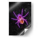 Araña de Halloween de neón - Sarah Manovski | Cuadro decorativo de Canvas Lab